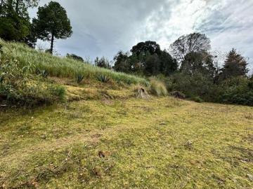 TERRENO RUSTICO, LA ESPERANZA