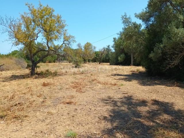 Terreno Rústico, Luz de Tavira e Santo Estêvão, Tavira | BPI Expresso Imobiliário