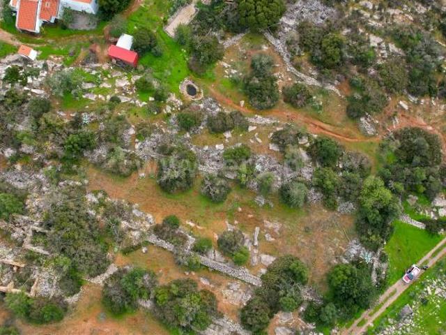 Terreno Rústico, Moncarapacho e Fuseta, Olhão | BPI Expresso Imobiliário