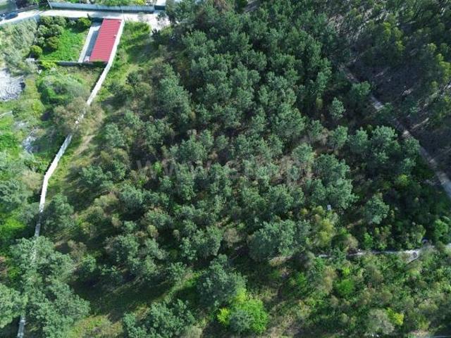 Terreno Rústico, Marinha Grande, Marinha Grande | BPI Expresso Imobiliário