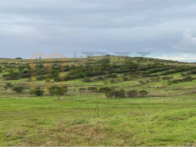 Terreno rústico no Espirito Santo, Mértola