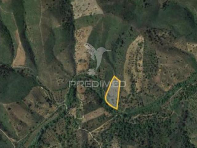 Terreno Rustico no sitio da Tareja