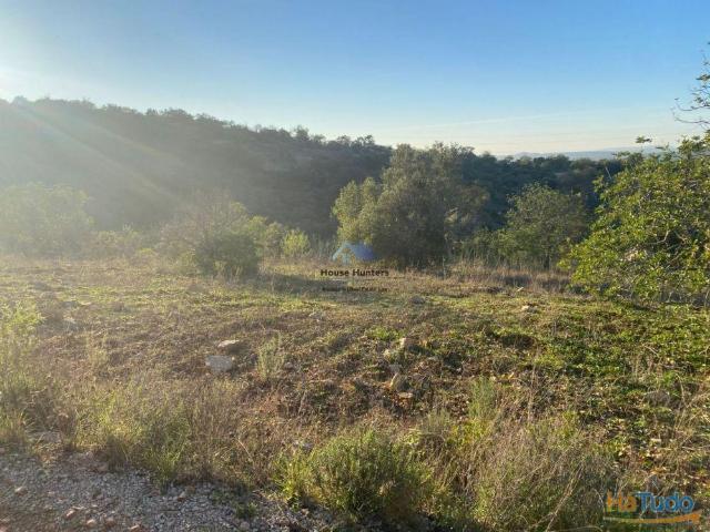 Terreno Rustico na Charneca | Querença | Loulé | 26064059429