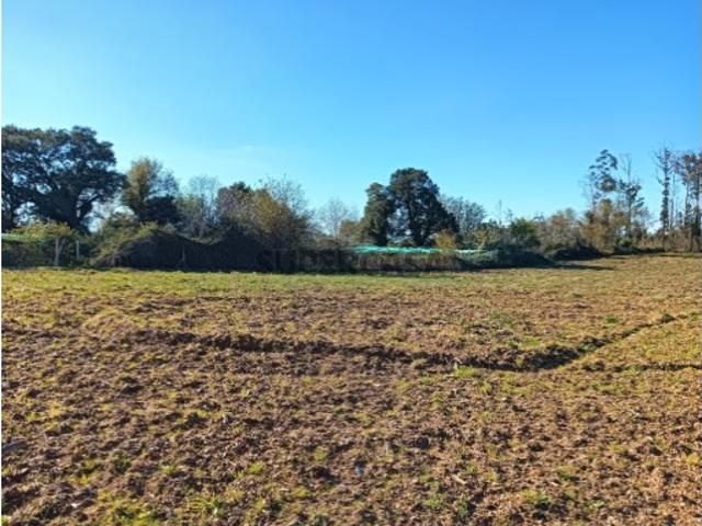 TERRENO RUSTICO SOBREIRO