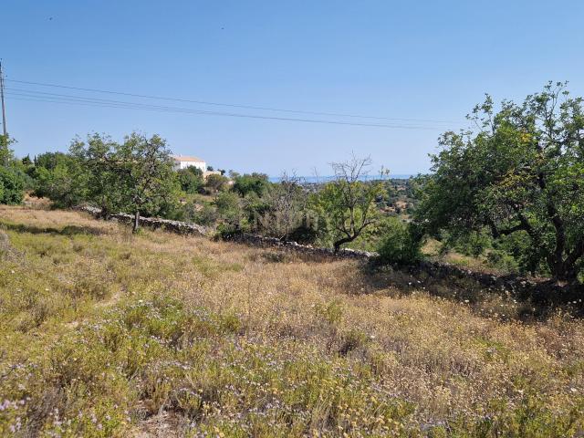 Terreno Rústico – Serro e Alcaria, Boliqueime 2630 m²