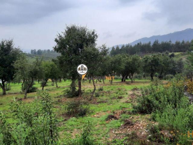 Terreno Rústico para venda, Tavila, Castelo Branco | 26083897376