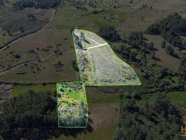 Terreno Rústico para venda com cerca de 19 200 metros na aldeia do Catrão, Vale Prazeres, Fundão | 26064087861