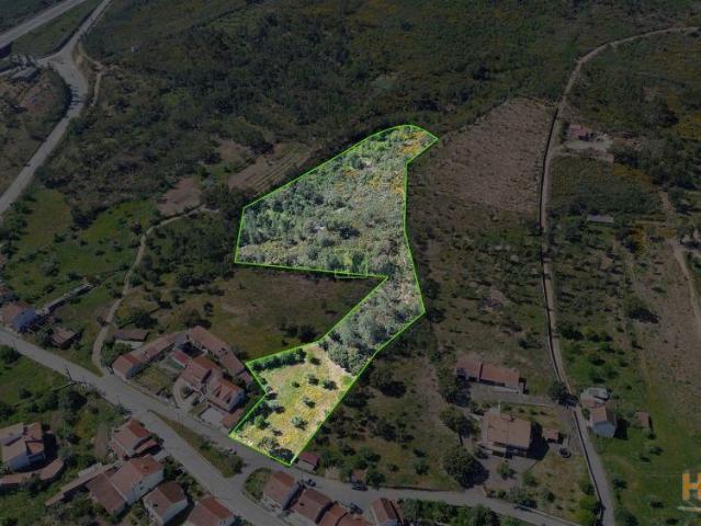 Terreno Rústico para venda com cerca de 7 500 metros na aldeia de Alvaiade, Vila Velha de Ródão | 26074087856