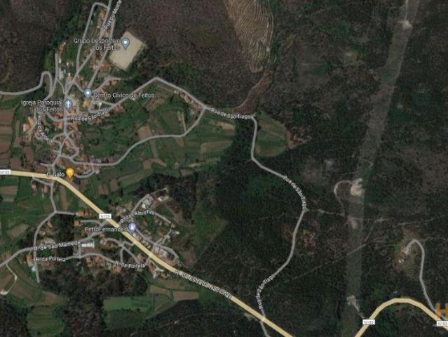 Terreno rústico para venda em Tamel Santa Leocádia Barcelos | 26063674719