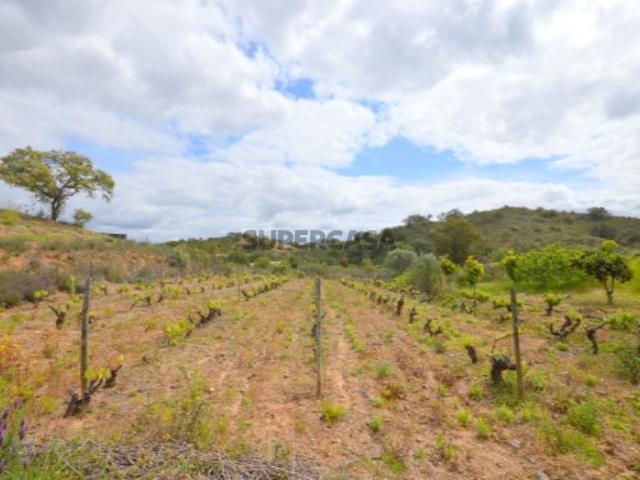 Terreno rústico para venda em Vale Figueira, São Bartolomeu de Messines