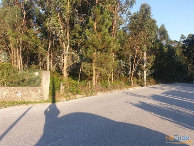 Terreno rústico para venda em Cervães, Vila Verde | 25043852061