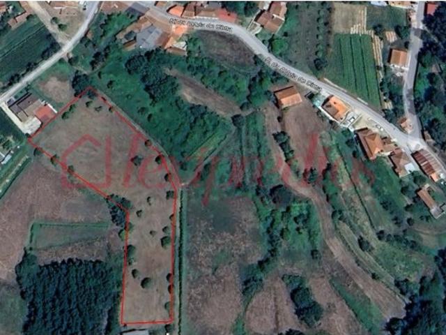 Terreno rústico para venda em Falgoselhe Águeda