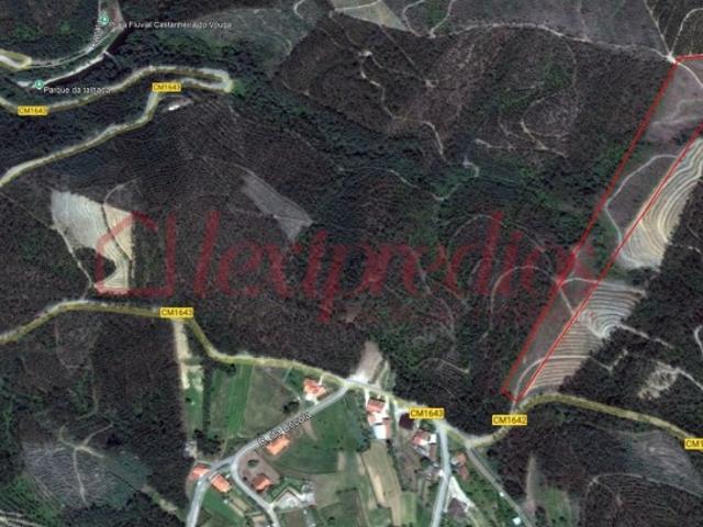 Terreno rústico para venda em Falgoselhe Águeda