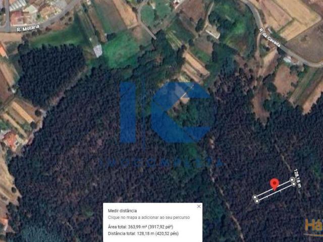 Terreno rústico para venda em Maçoida Águeda | 26064059648