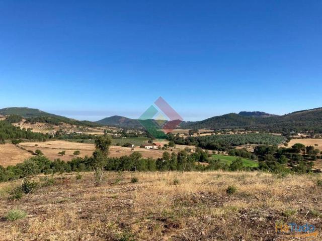 Terreno rústico, para venda, Marvão S. Salvador da Aramenha | 26063659935
