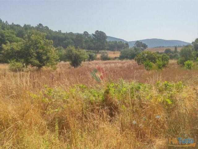 Terreno rústico, para venda, Marvão S. Salvador da Aramenha | 26084063430