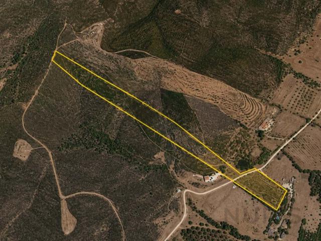 Terreno Rústico para venda Mexilhoeira Grande Portimão Algarve
