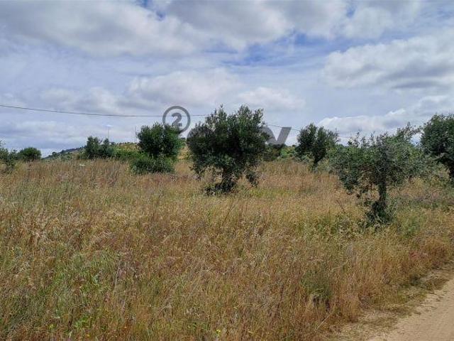 Terreno Rústico para Venda na Vidigueira com 10 000 m² | 26064087368
