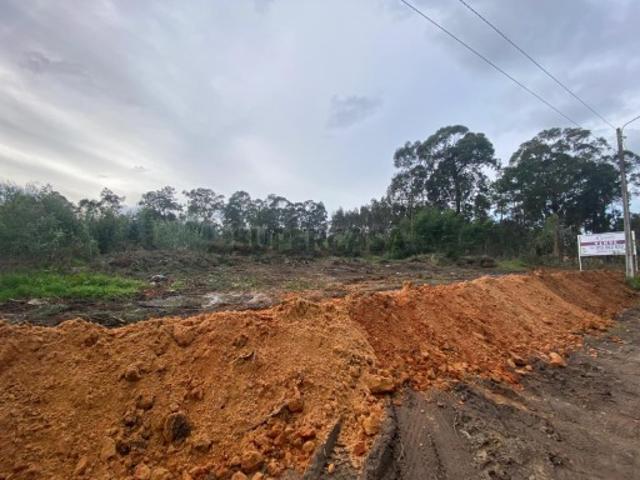 Terreno Rústico para venda no concelho de Águeda