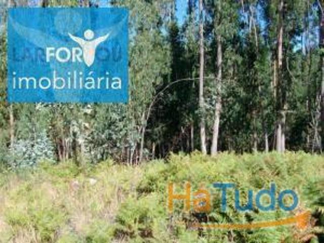 Terreno rústico, para venda, Póvoa de Lanhoso Esperança e Brunhais | 26083709210