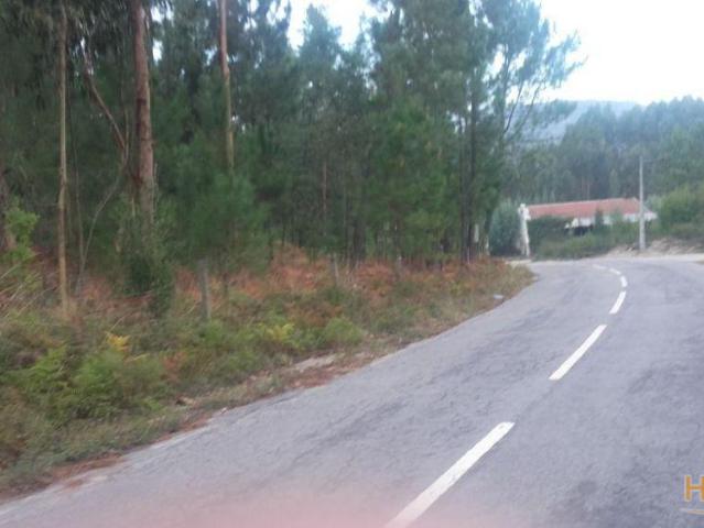 Terreno rústico, para venda, Póvoa de Lanhoso Lanhoso | 26083709214