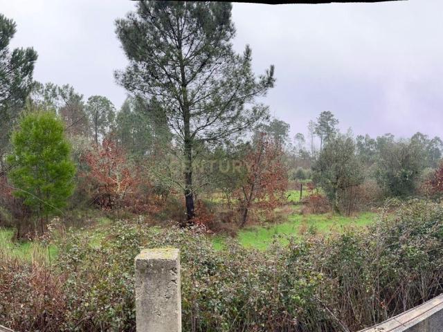 Terreno rústico para venda próximo de Viseu