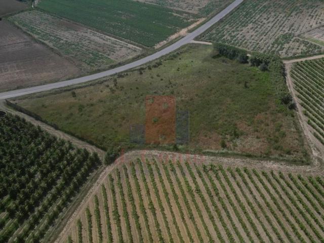 Terreno Rústico para Agricultura