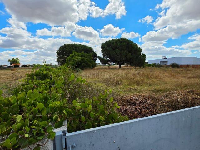 Terreno Rústico para Arrendamento Agrícola – Pinhal Novo