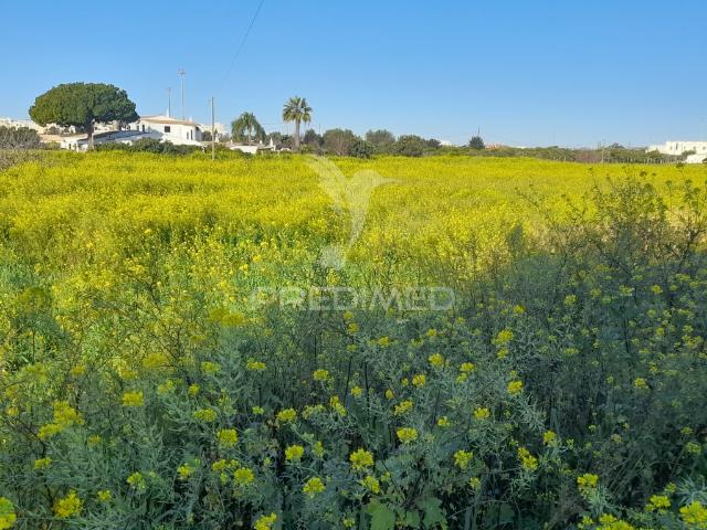 Terreno Rustico para arrendamento em Faro