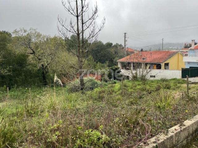Terreno rústico para construção localizado em Camarões
