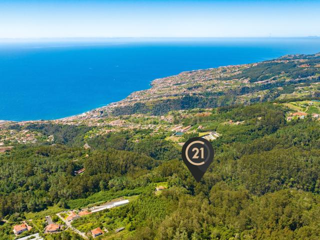 Terreno Rústico para Floresta Mista com 3.265 m2 Santa Cruz, Madeira
