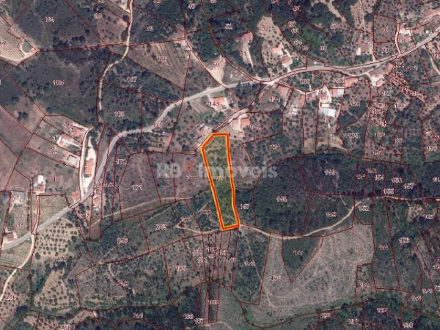 Terreno rústico com 6280m² Pero Calvo, Tomar