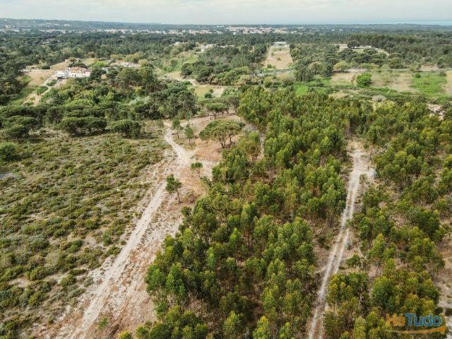 Terreno Rustico Perto Da Praia | Aiana | 26083919455