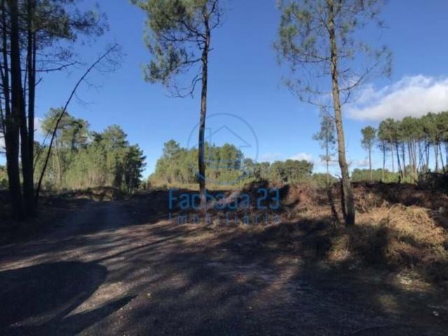Terreno Rústico Próximo da A24 | Vila Real