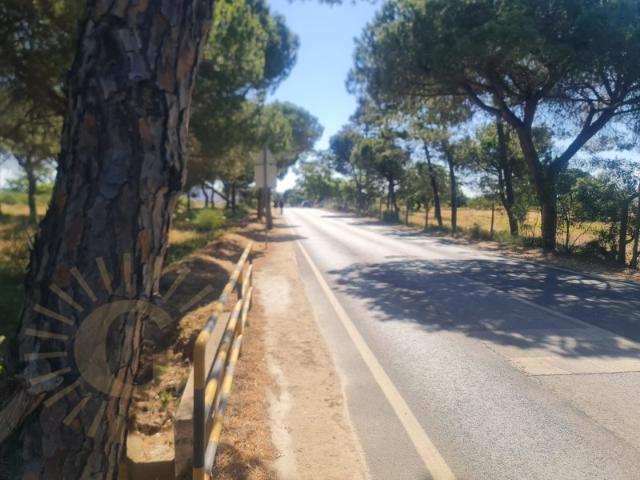 Terreno Rustico próximo da Quinta do Lago, freguesia de Almancil