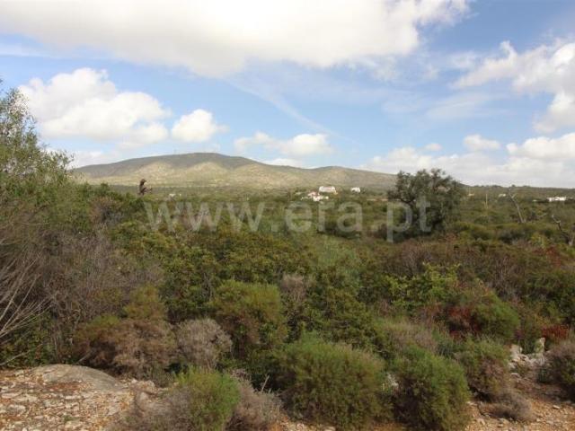 Terreno Rústico, Quelfes, Olhão | BPI Expresso Imobiliário