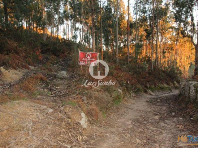 Terreno rústico Quinchães Fafe | 26084064204