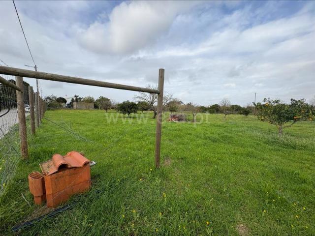 Terreno Rústico, Quinta Do Anjo, Palmela | BPI Expresso Imobiliário