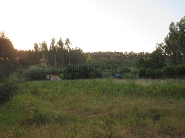 Terreno Rustico Ramalhal