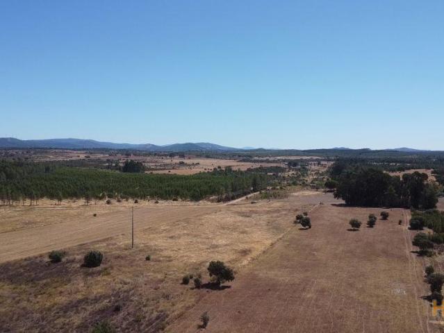 Terreno Rústico Ribeiro 2.35 ha Penamacor | 26073382883