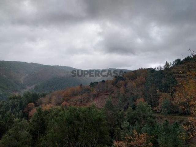 Terreno rústico Terra Nova, Área de Gondramaz VILA NOVA MIRANDA DO CORVO | NEGOCIAÇÃO PARTICULAR | FIM 01*JUL