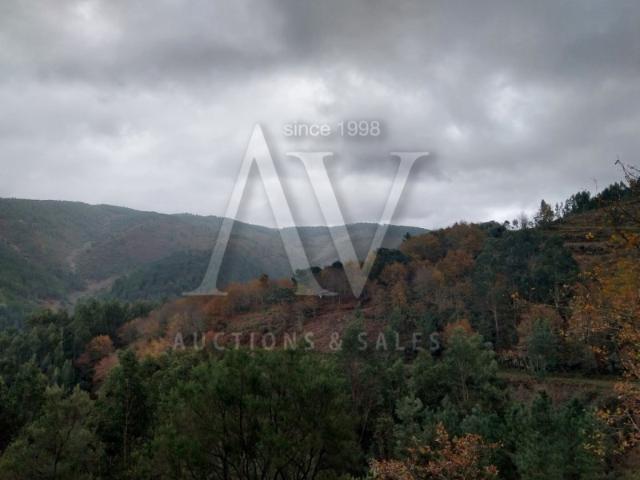 Terreno rústico Terra Nova, Área de Gondramaz VILA NOVA MIRANDA DO CORVO | NEGOCIAÇÃO PARTICULAR | FIM 18*AGO
