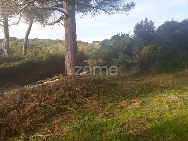 Terreno Rustico, União das freguesias de São das lampas e terrugem
