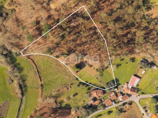 Terreno Rústico urbanizável com 4580m2 em Vale, Arcos de Valdevez