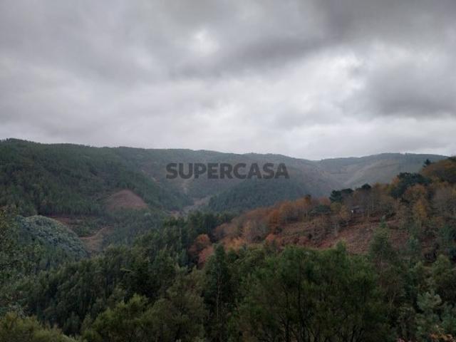 Terreno rústico Vale Covo, Área de Gondramaz VILA NOVA MIRANDA DO CORVO | NEGOCIAÇÃO PARTICULAR | FIM 01*JUL