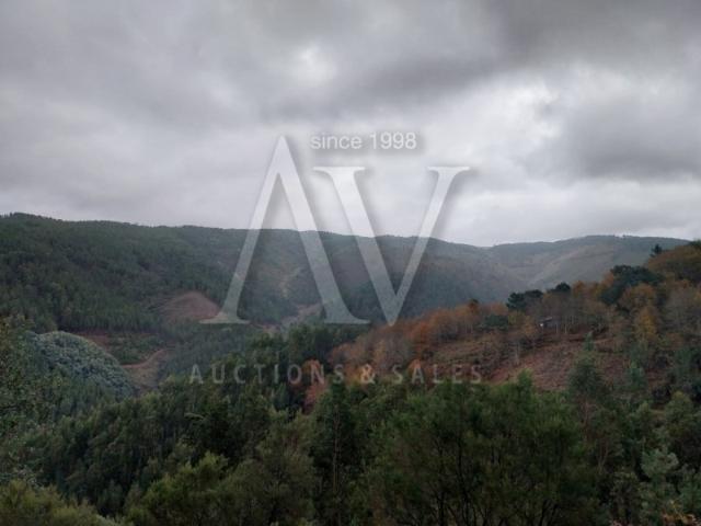 Terreno rústico Vale Covo, Área de Gondramaz VILA NOVA MIRANDA DO CORVO | NEGOCIAÇÃO PARTICULAR | FIM 18*AGO