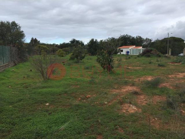 Terreno Rústico Vedado com Anexo em Vale Judeu, Loulé