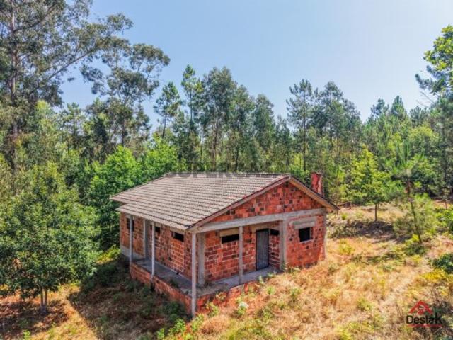 Terreno Rústico Venda em Couto de Baixo e Couto de Cima,Viseu