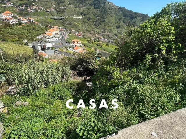 Terreno Rústico Venda em Campanário,Ribeira Brava m² Campanário