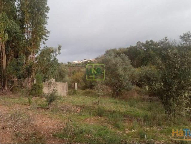Terreno Rústico Venda em Cebolais de Cima e Retaxo,Castelo Branco | 26063926107